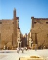 Luxor temple
